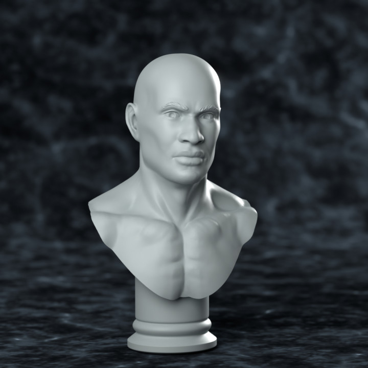 Male Academic Bust