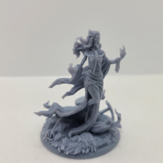 Picture of print of Banshee 75mm and 32mm pre-supported