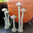 mushrooms 2nd pair image
