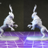 Hawkhound Pose 3 - Includes 2 Variants image