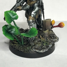 Picture of print of Jungle Bases (Set of 7)