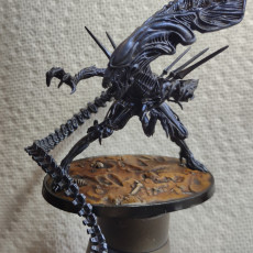 Picture of print of XENO BROOD MOTHER