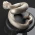 Crotalus Snake image