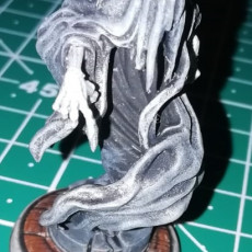 Picture of print of Specters set 4 miniatures 32mm pre-supported This print has been uploaded by Fabio Pe