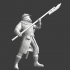 Medieval warrior with poleweapon image