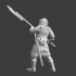 Medieval warrior with poleweapon image