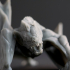 Dire Bat - Tabletop Miniature (Pre-Supported) print image