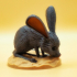 Desert Mouse image