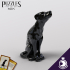 Figurine of Wondrous Power - Onyx Dog image
