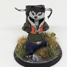 Picture of print of (Pre-supported) Weasel Folk Thief RP