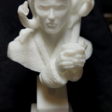 Picture of print of Miniatures Bust Display Plinth