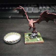Picture of print of Draconic Wyvern Set / Bulky Dragon / Flying Fire Drake