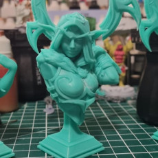 Picture of print of (Bust) Eve, the Rogue Night Elf (2 Versions)
