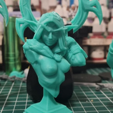 Picture of print of (Bust) Eve, the Rogue Night Elf (2 Versions)