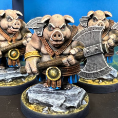 Picture of print of Hogs of War Release