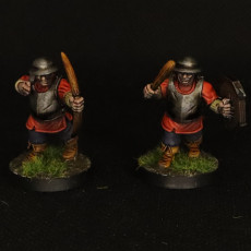Picture of print of Town Guard Multipart Kit (pre supported)