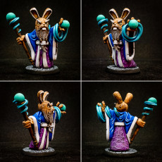 Picture of print of Wizard Rabbit (pre-supported included)