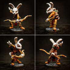 Picture of print of Rabbit Ranger (pre-supported included)