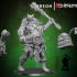 Ogre Persian army 1 support ready image