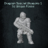 Dragoon Special Weapon Pack 1 image