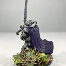 Picture of print of Loxodon Paladin