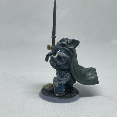 Picture of print of Loxodon Paladin