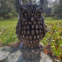 Night Owl image