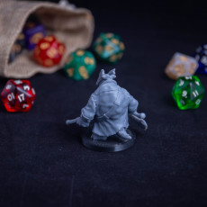 Picture of print of Tortle Blood Hunter Miniature - Pre-Supported