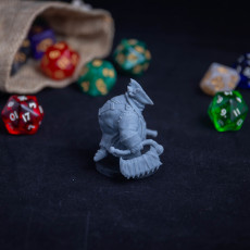 Picture of print of Tortle Blood Hunter Miniature - Pre-Supported