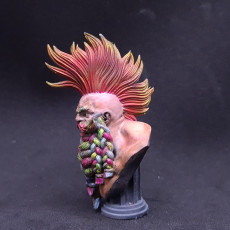 Picture of print of Dwarf Mohawk Bust [Pre-Supported]