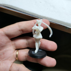 Picture of print of Moon Princess - 32mm -DnD