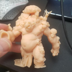 Picture of print of Goblin Troll Boss (pre-supported)