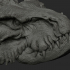 highly Detailed Dragon Head . image