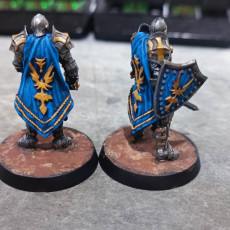 Picture of print of Blue Capes | Knights (Pre-Supported)