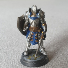 Picture of print of Blue Capes | Knights (Pre-Supported)