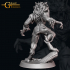 October Release - Werewolf Bundle image