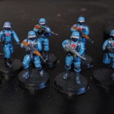 Picture of print of Venom Troopers