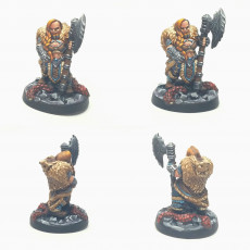 Picture of print of Ironpelt Dwarf Barbarian - Axe