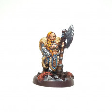 Picture of print of Ironpelt Dwarf Barbarian - Axe