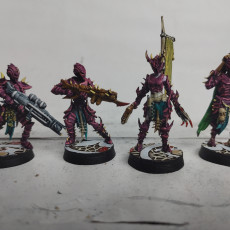 Picture of print of Armored Warriors - Cursed Elves