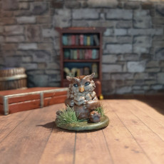 Picture of print of Owlcub