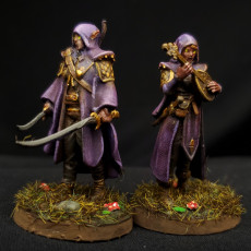 Picture of print of Elf Twins - Presupported