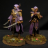 Elf Twins - Presupported print image