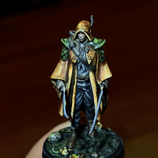 Picture of print of Elf Rogue - Presupported