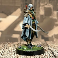 Picture of print of Elf Rogue - Presupported