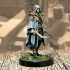 Elf Rogue - Presupported print image