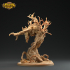 Treant - Ent - Presupported image