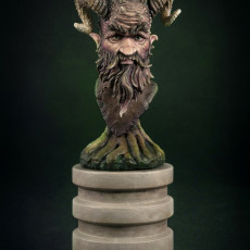Picture of print of Faun Bust