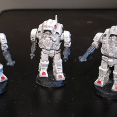 Picture of print of Asp Armor