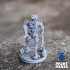 Sentinel - Patrol Robot - Expedition Collection image